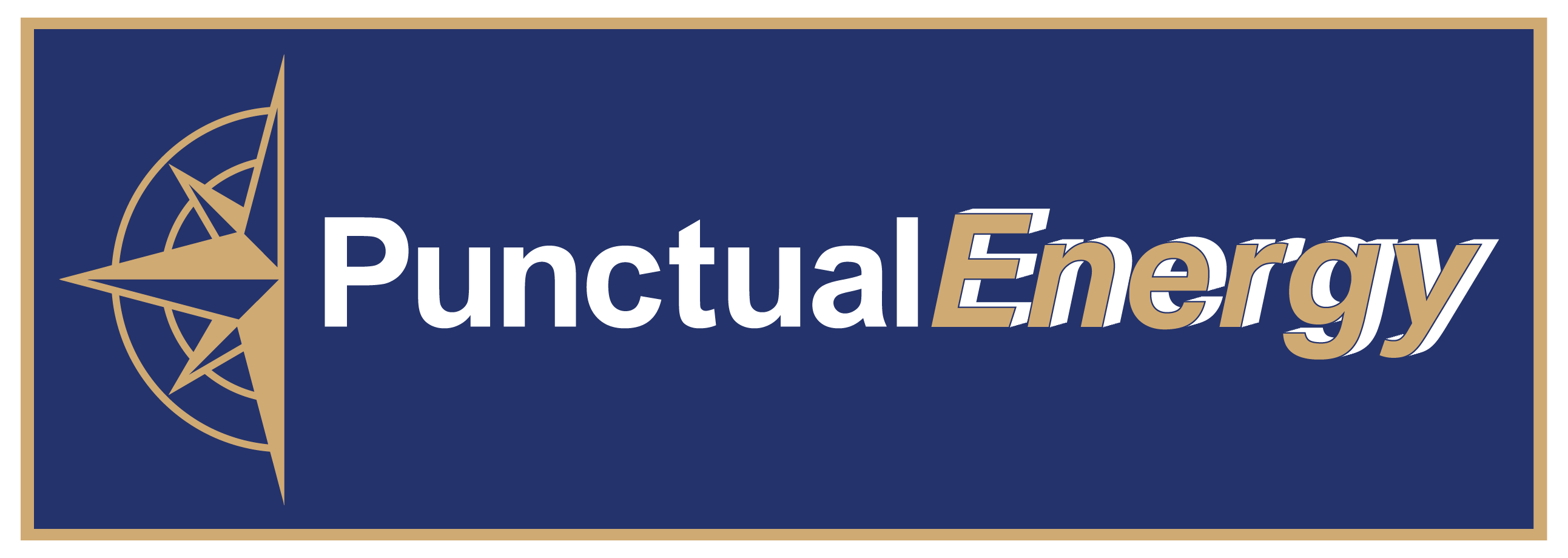 punctualenergy